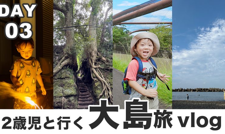 Youtube「伊豆大島への旅」その3