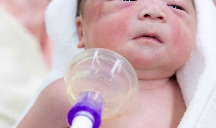 今日のあおちゃん NewBornVideo.jp