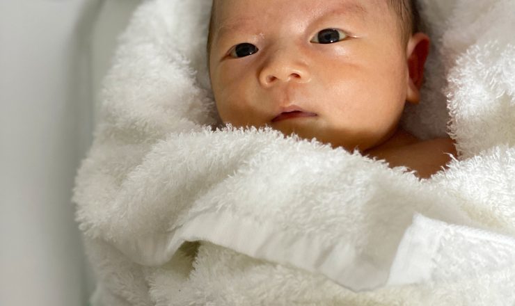 今日のあおちゃん NewBornVideo.jp