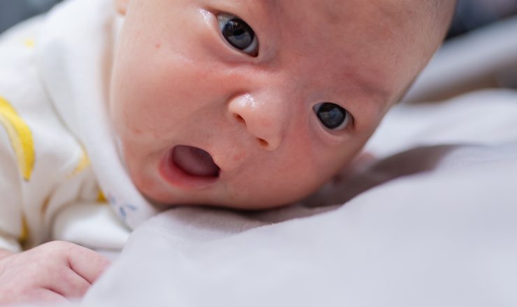 今日のあおちゃん NewBornVideo.jp