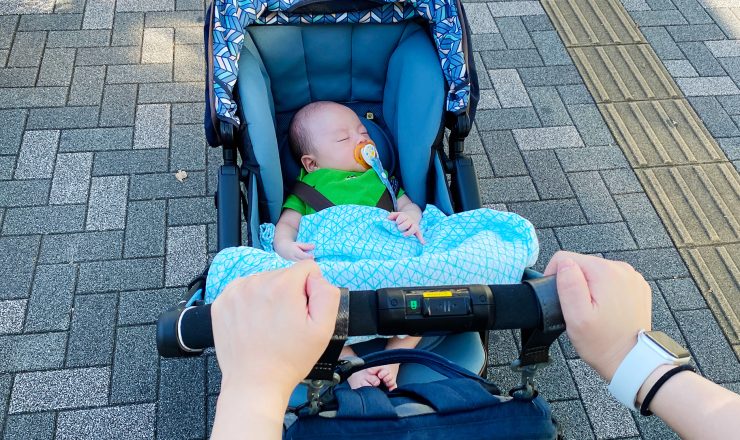 今日のあおちゃん NewBornVideo.jp