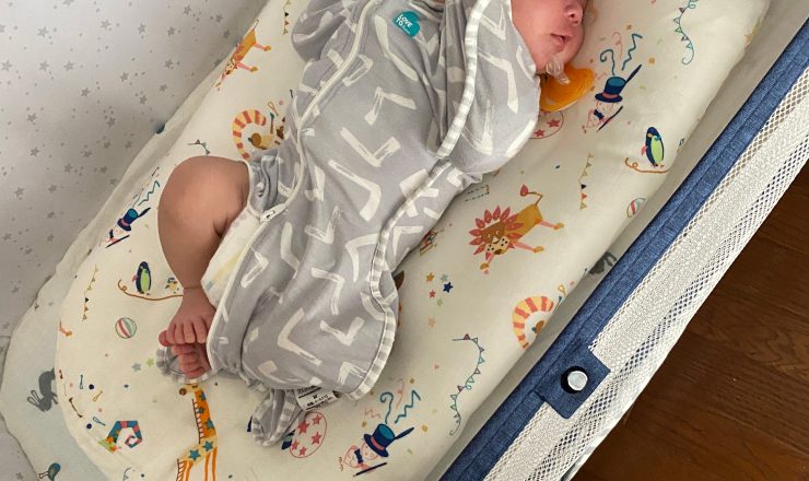 今日のあおちゃん NewBornVideo.jp