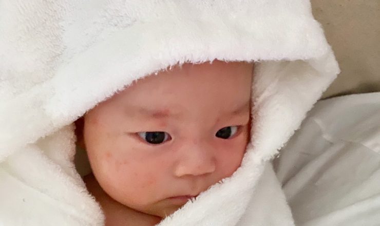 今日のあおちゃん NewBornVideo.jp