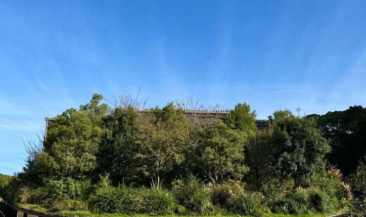 ニューボーンビデオ制作 NewBornVideo.jp