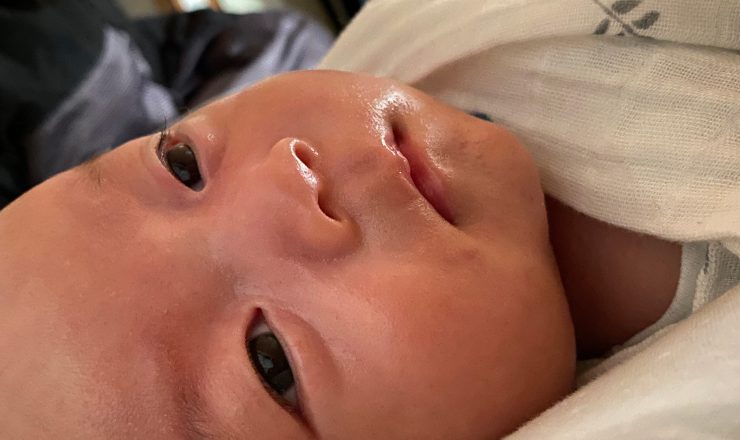 今日のあおちゃん NewBornVideo.jp