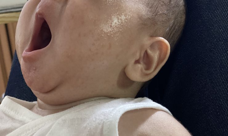 今日のあおちゃん NewBornVideo.jp