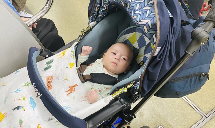 今日のあおちゃん NewBornVideo.jp