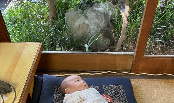 今日のあおちゃん NewBornVideo.jp