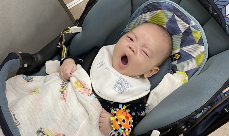 今日のあおちゃん NewBornVideo.jp