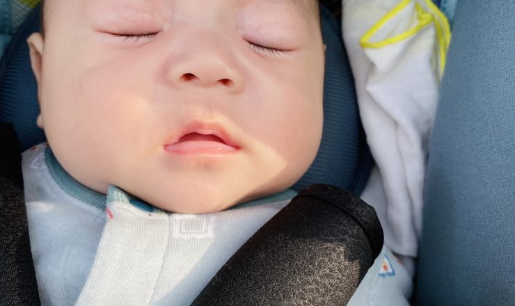 今日のあおちゃん NewBornVideo.jp