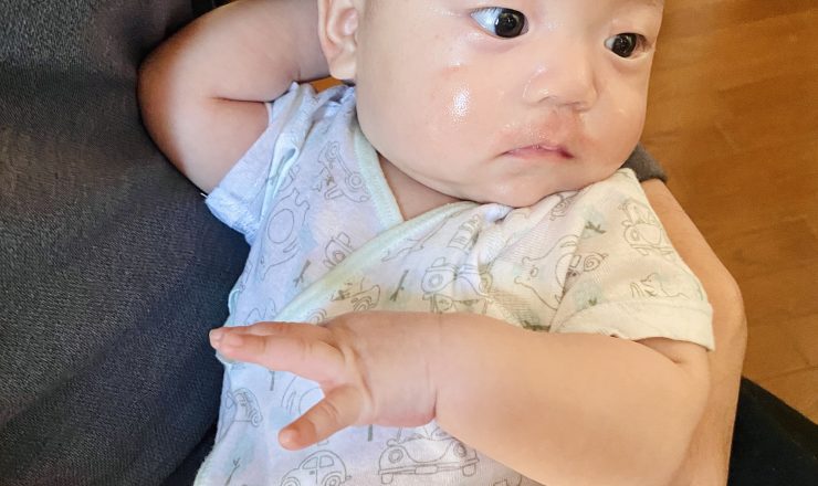 今日のあおちゃん NewBornVideo.jp