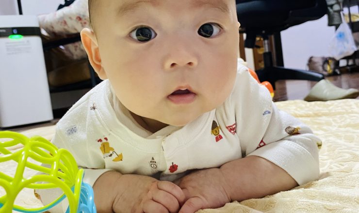 今日のあおちゃん NewBornVideo.jp