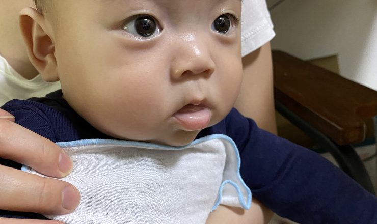 今日のあおちゃん NewBornVideo.jp