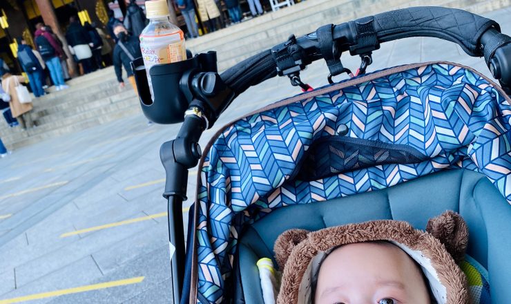 あの日のあおちゃん NewBornVideo.jp