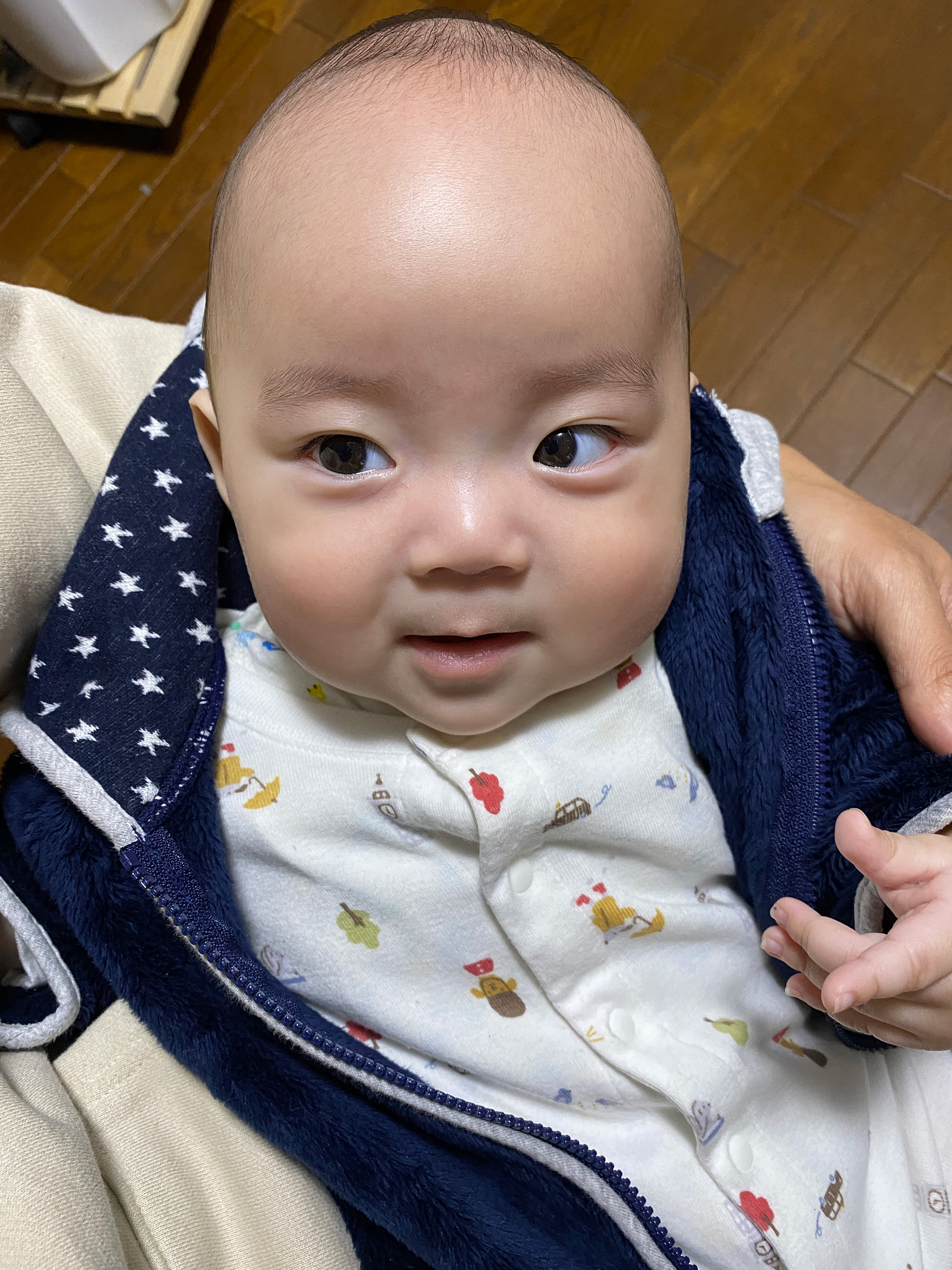 あの日のあおちゃん NewBornVideo.jp