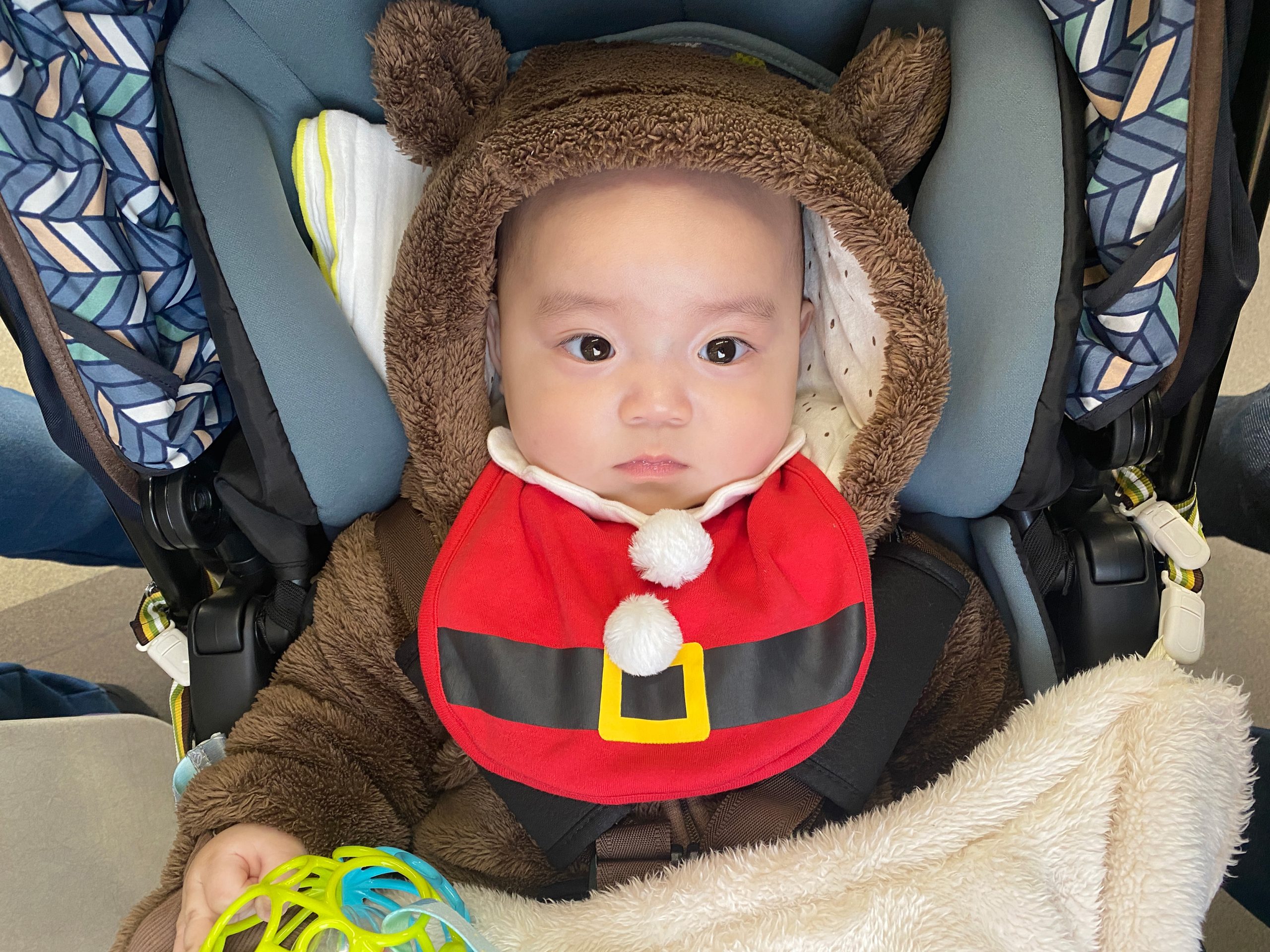 あの日のあおちゃん NewBornVideo.jp