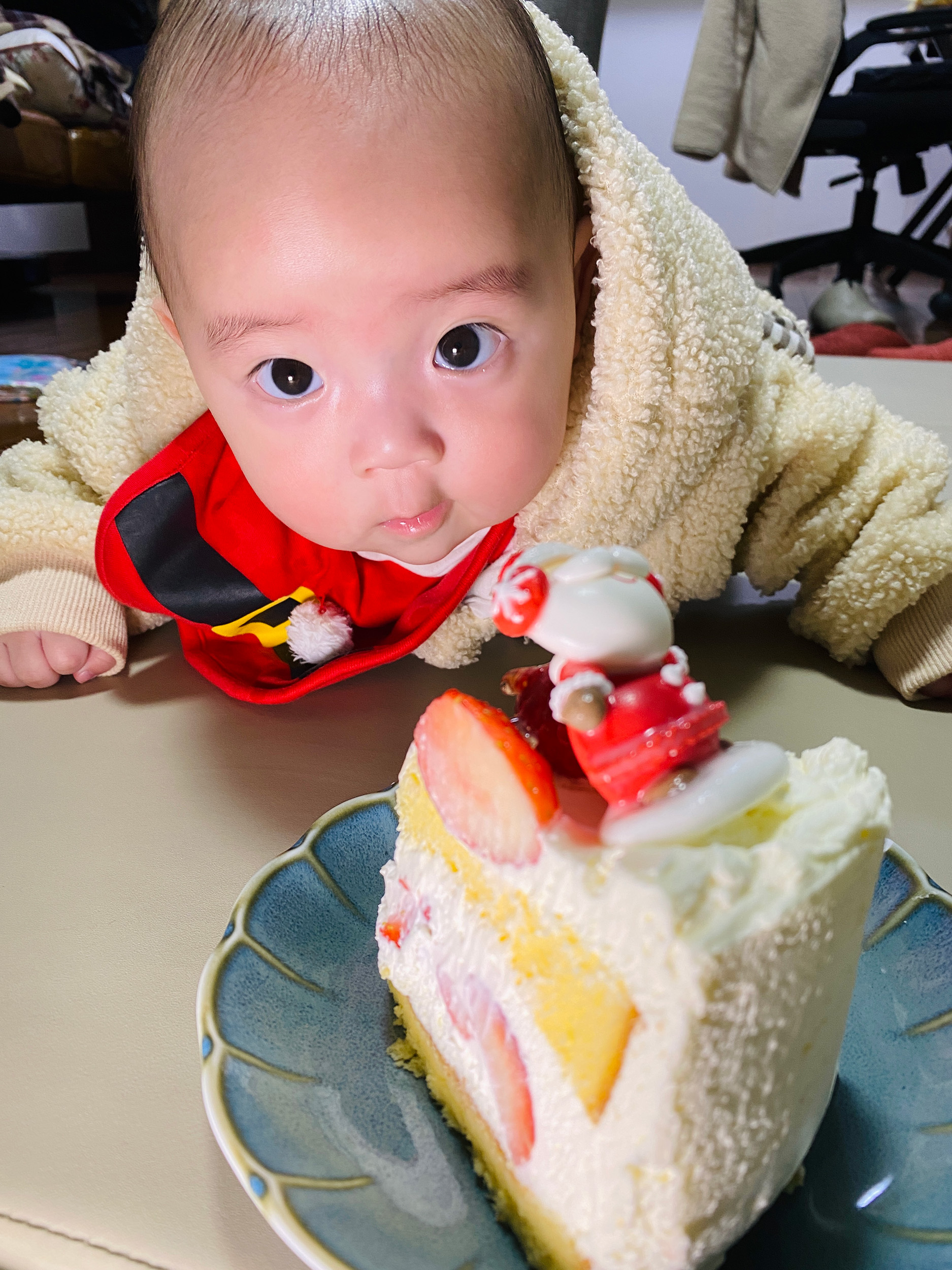 あの日のあおちゃん NewBornVideo.jp