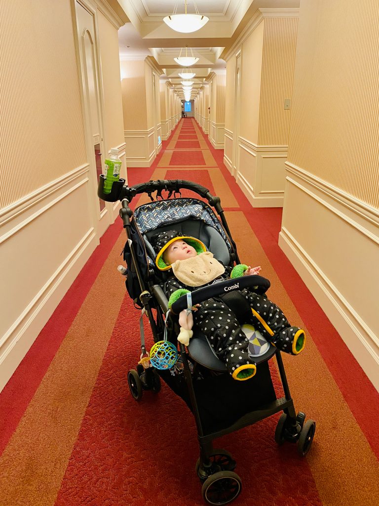 今日のあおちゃん NewBornVideo.jp