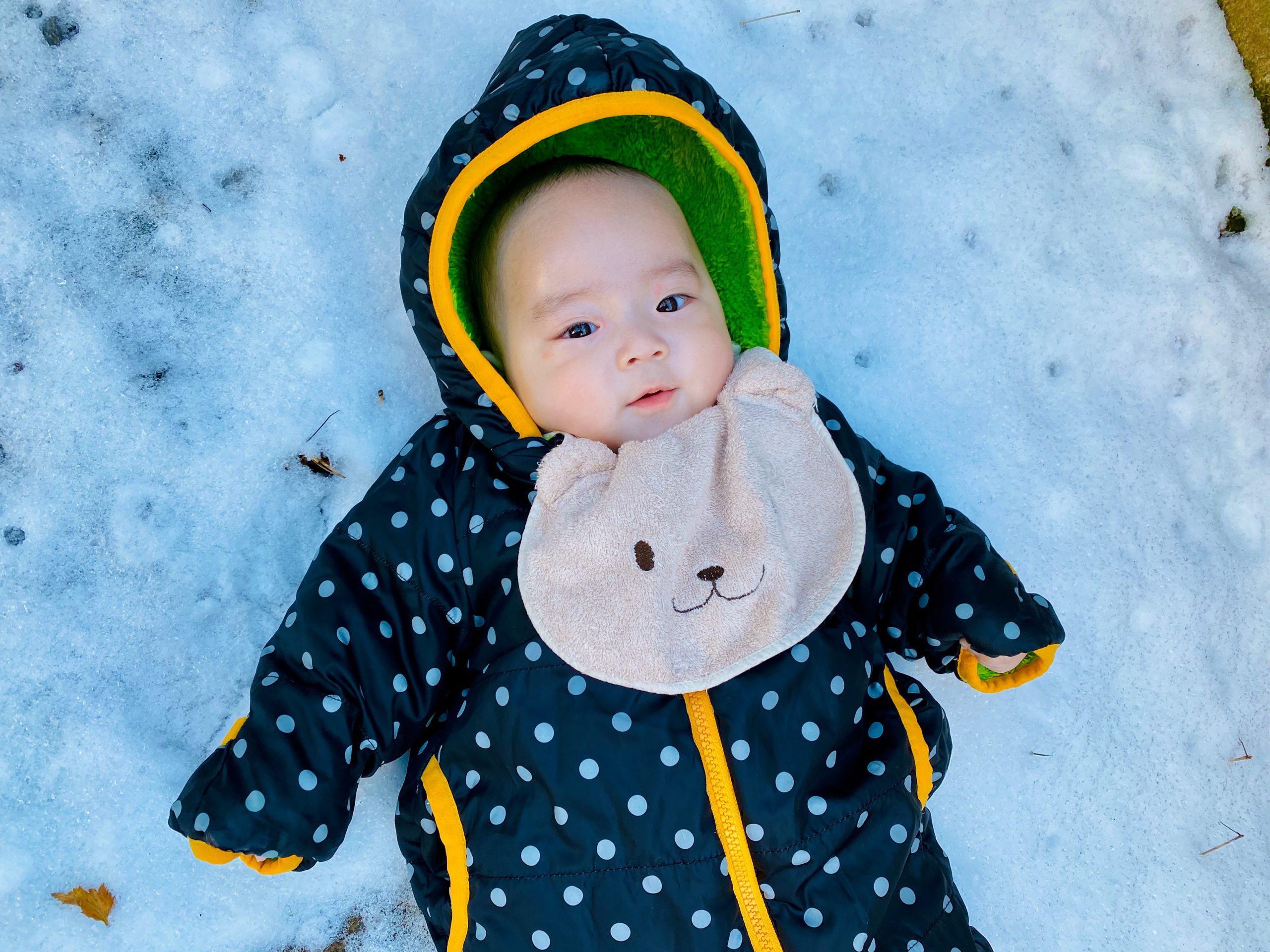 今日のあおちゃん NewBornVideo.jp