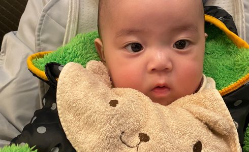 今日のあおちゃん NewBornVideo.jp