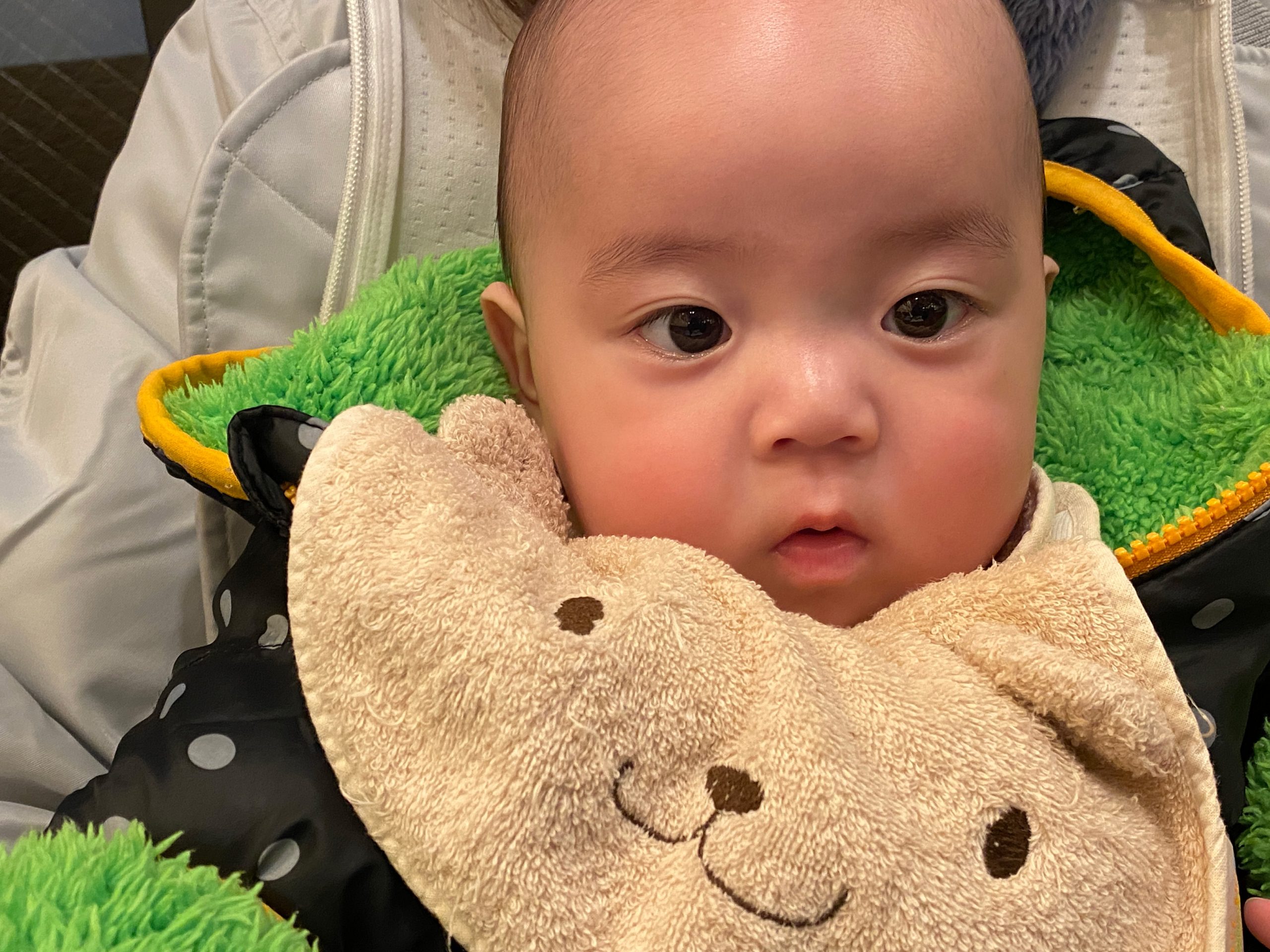 今日のあおちゃん NewBornVideo.jp