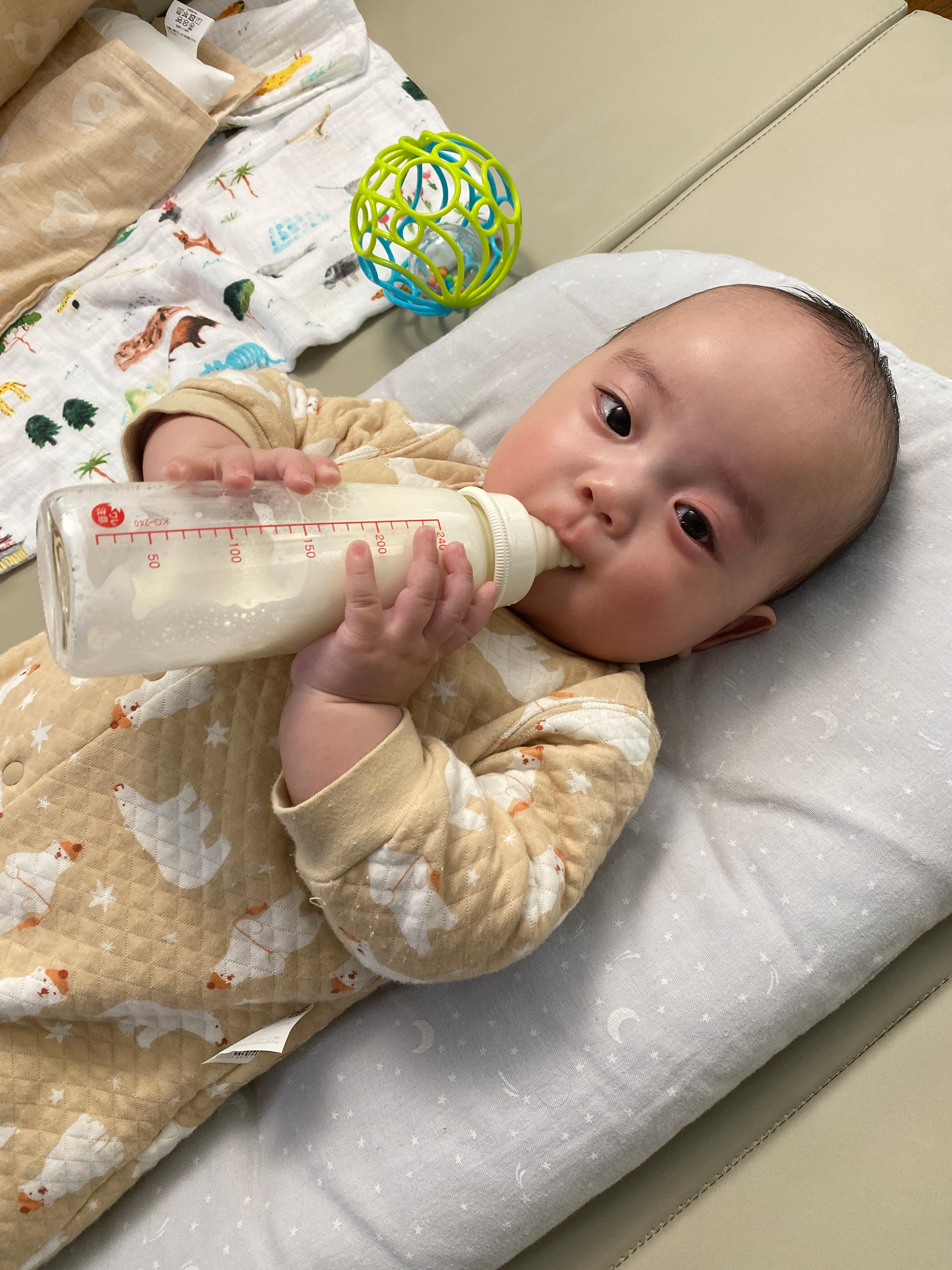 今日のあおちゃん NewBornVideo.jp