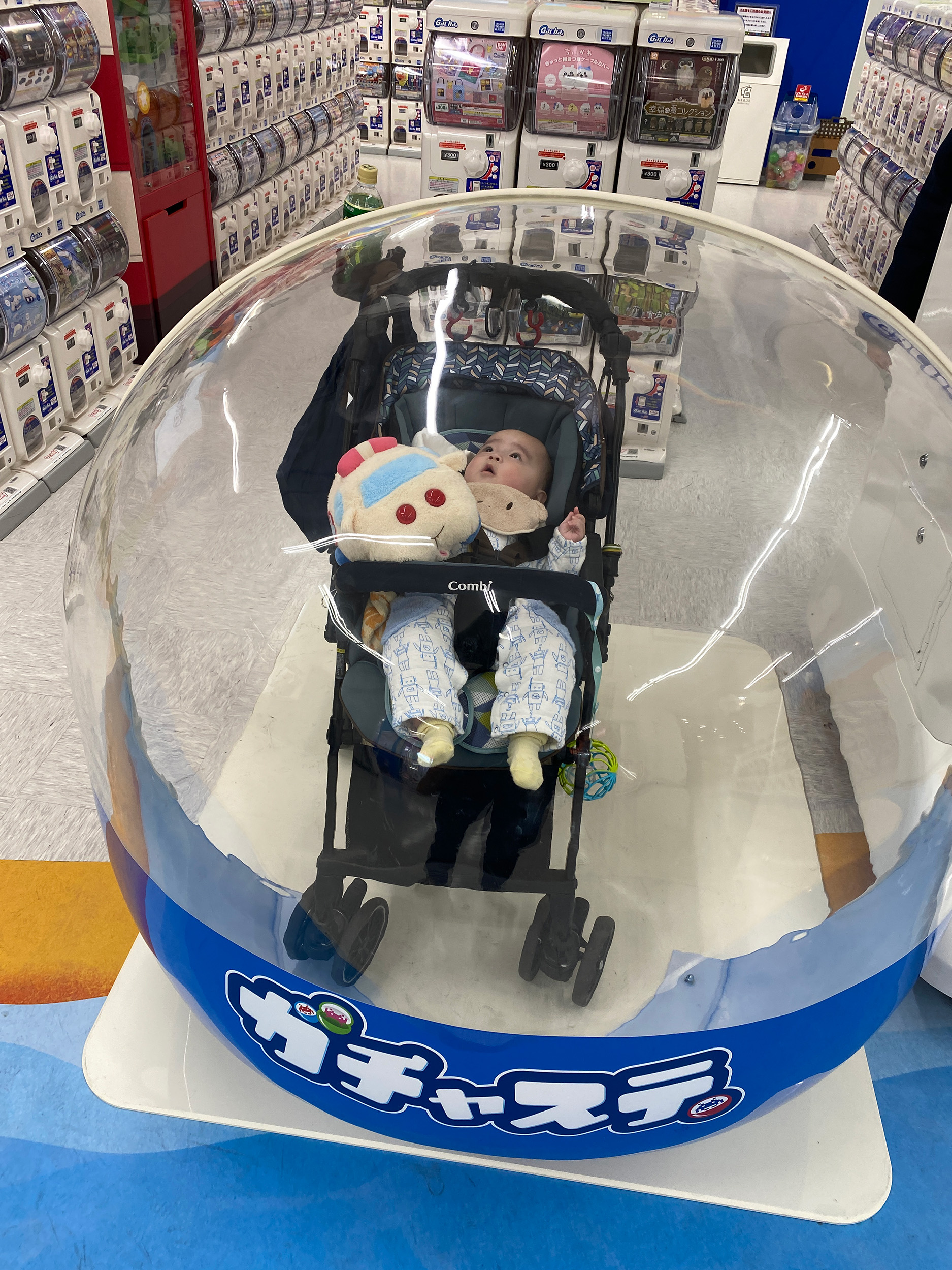 今日のあおちゃん NewBornVideo.jp