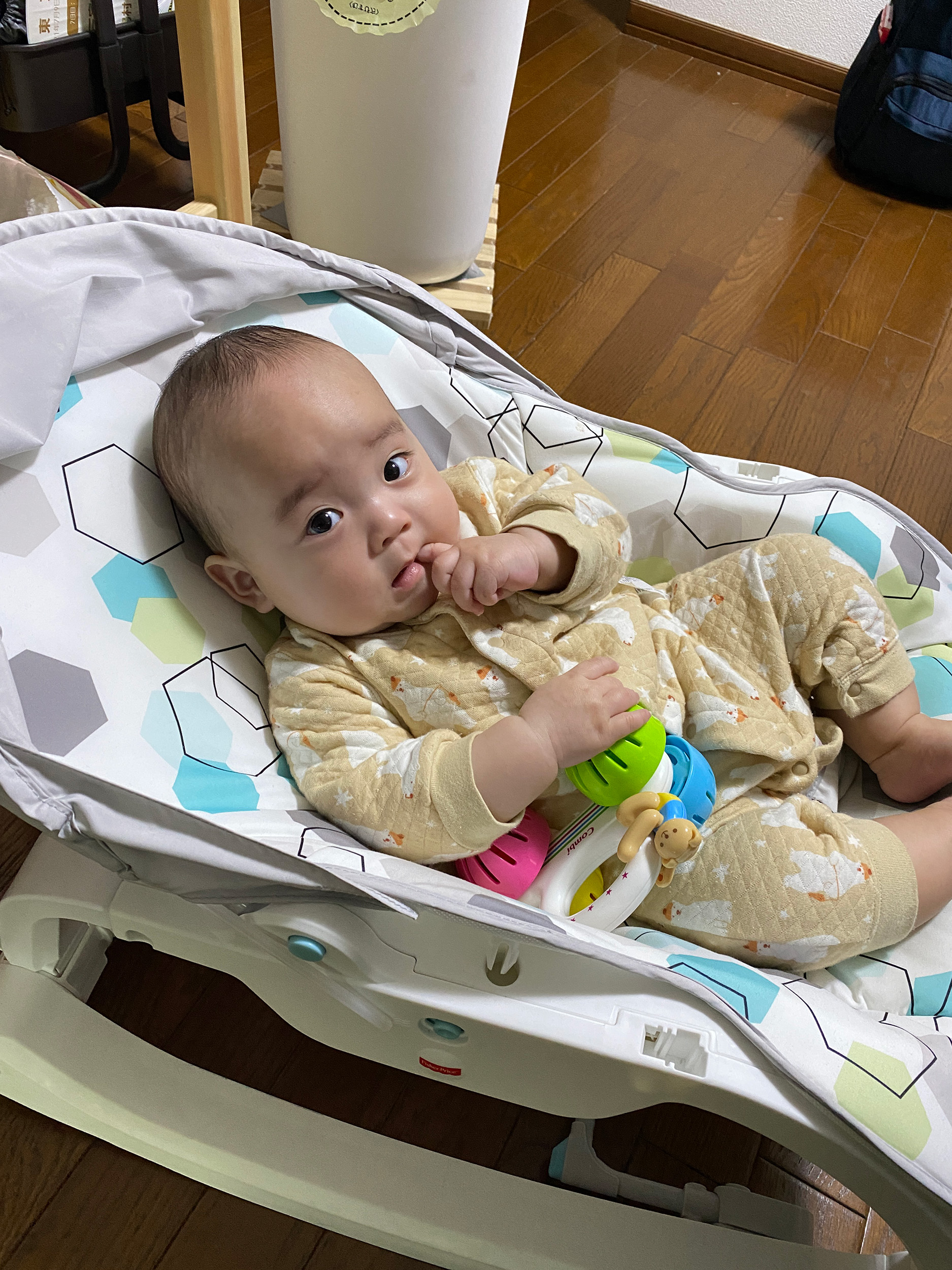 今日のあおちゃん NewBornVideo.jp