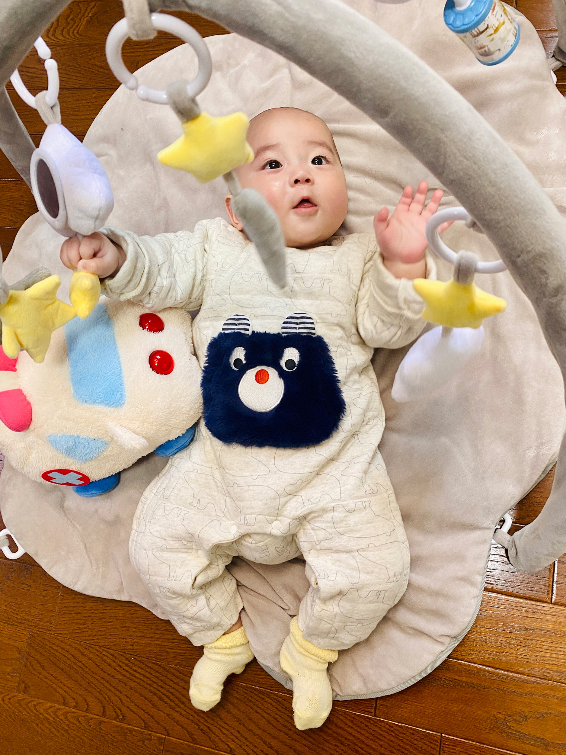 今日のあおちゃん NewBornVideo.jp