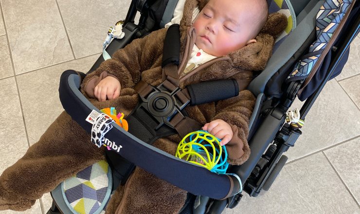 今日のあおちゃん NewBornVideo.jp