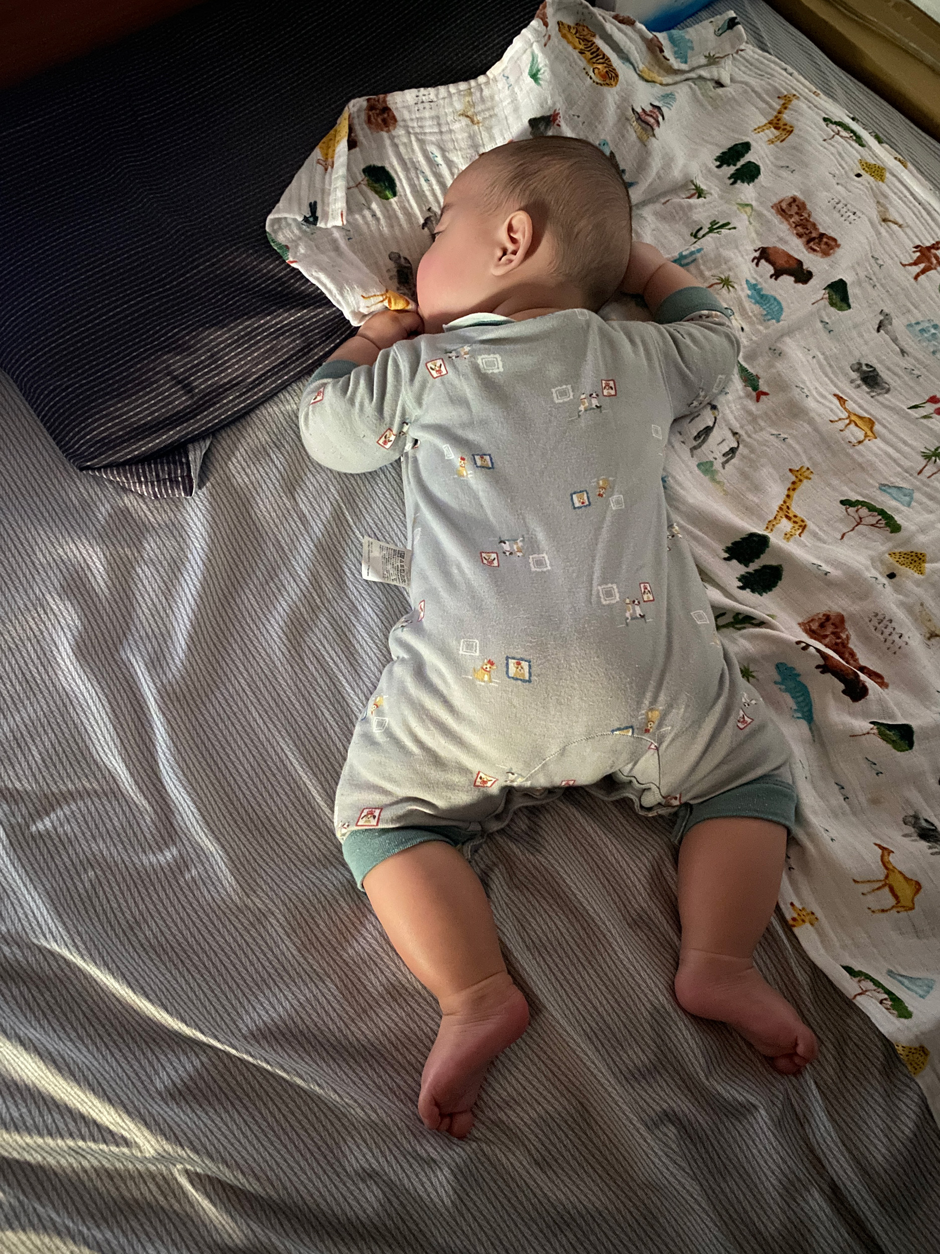 今日のあおちゃん NewBornVideo.jp