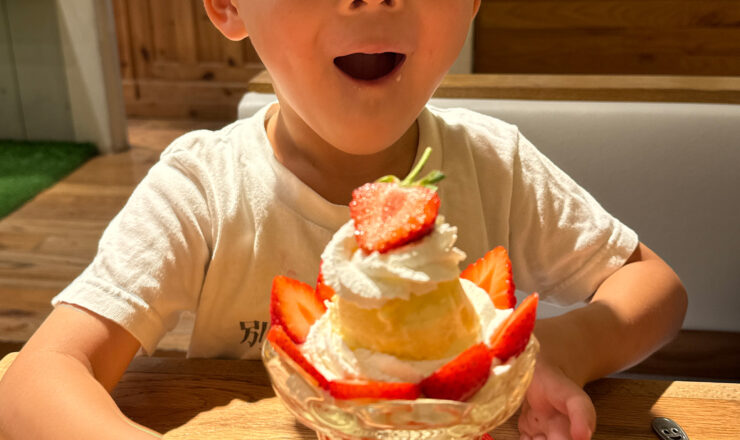 ニューボーンビデオ制作 / NewBornVideo.jp