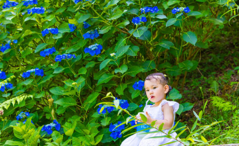 ニューボーンビデオ制作 / NewBornVideo.jp