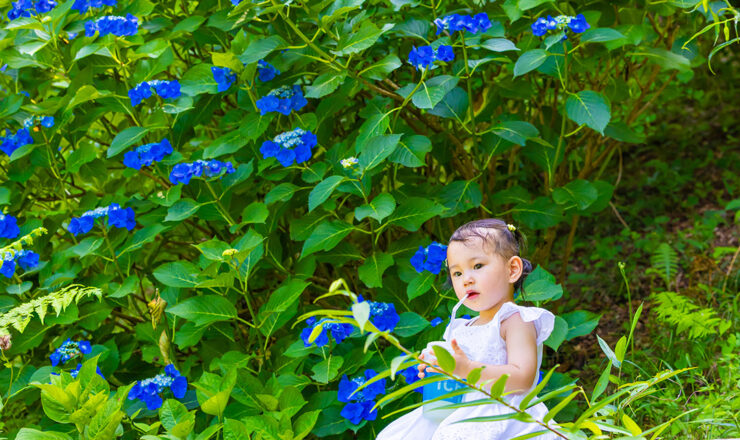 ニューボーンビデオ制作 / NewBornVideo.jp