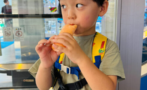 ニューボーンビデオ制作 / NewBornVideo.jp