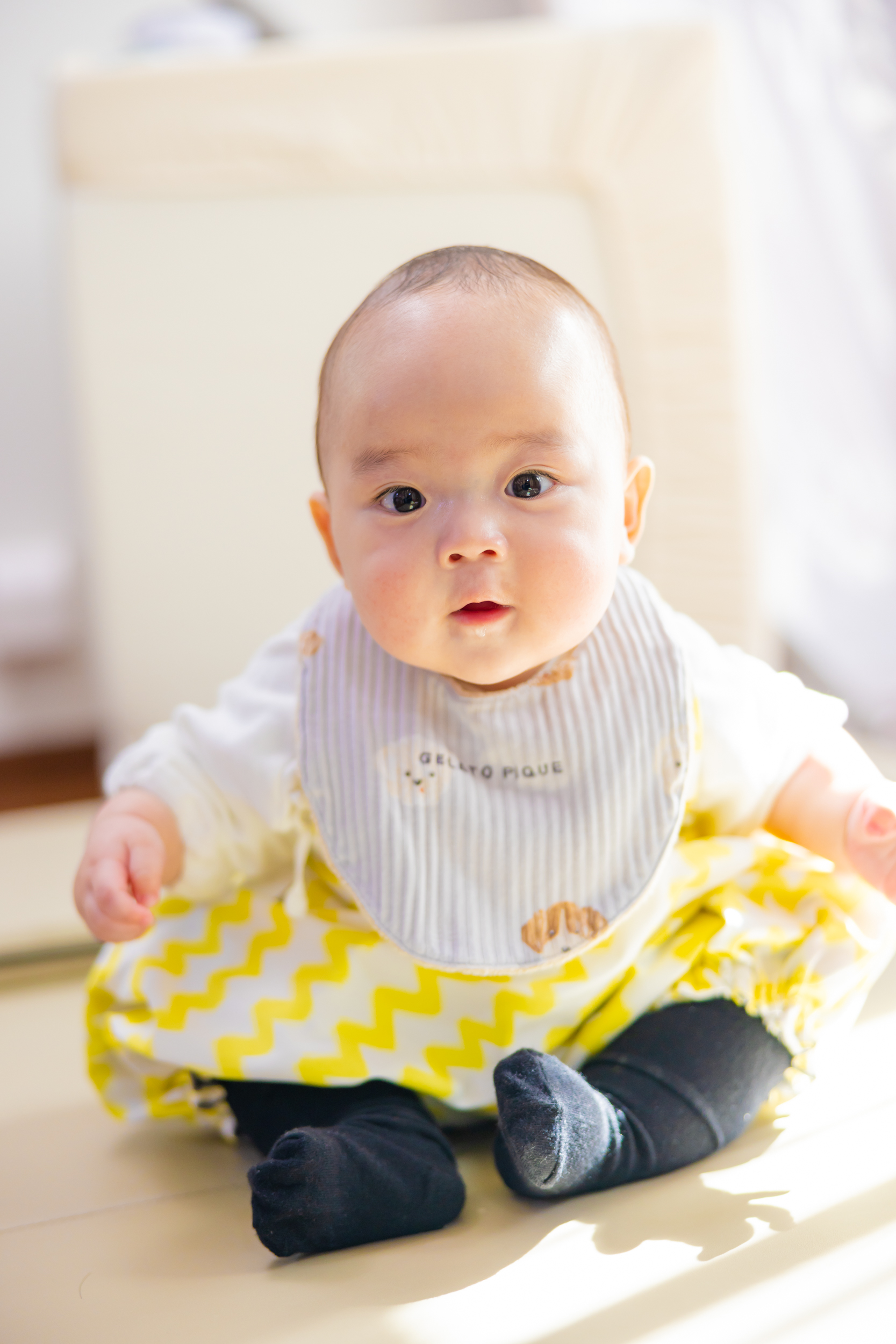 今日のあおちゃん NewBornVideo.jp