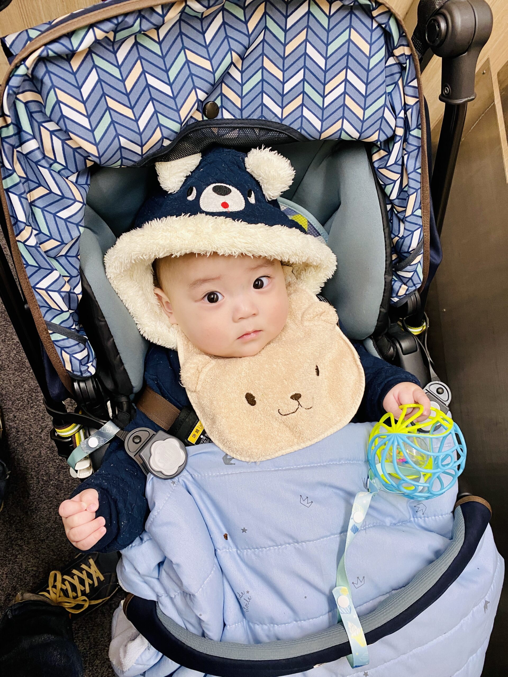 今日のあおちゃん NewBornVideo.jp