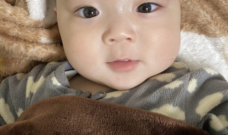 今日のあおちゃん NewBornVideo.jp