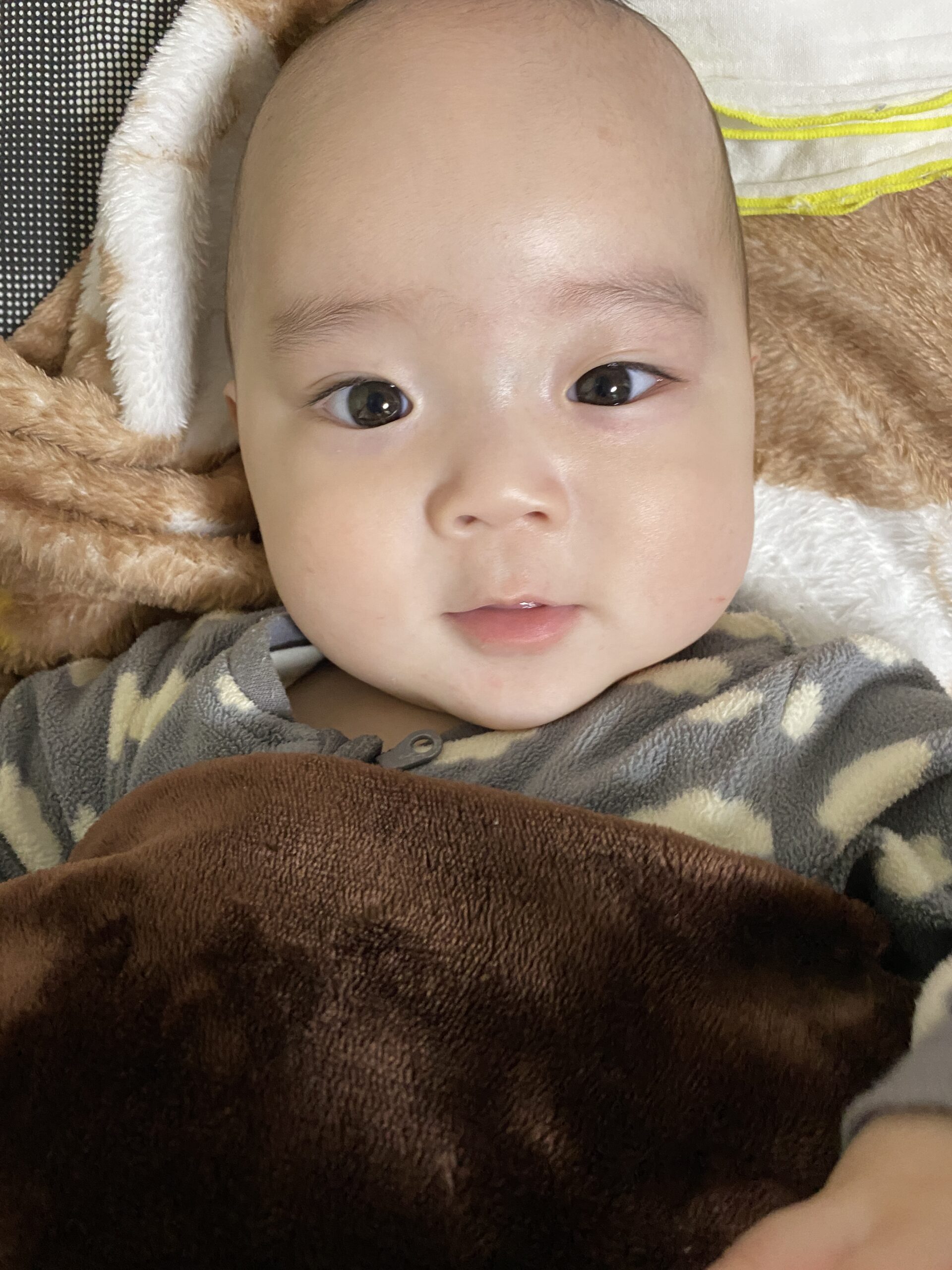 今日のあおちゃん NewBornVideo.jp