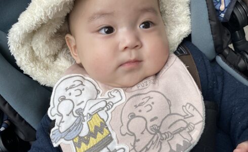 今日のあおちゃん NewBornVideo.jp