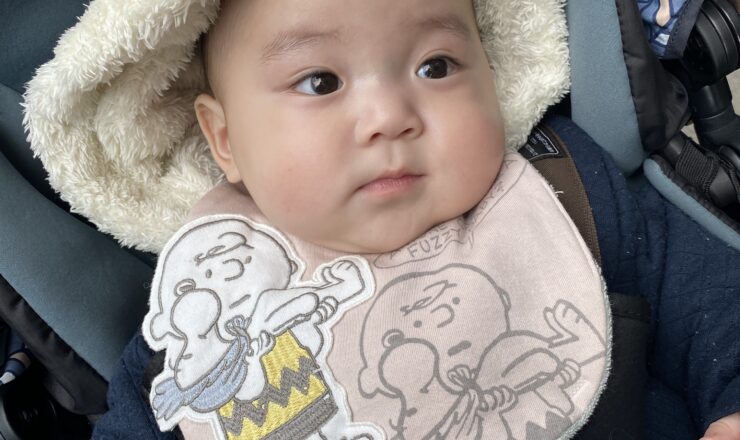 今日のあおちゃん NewBornVideo.jp