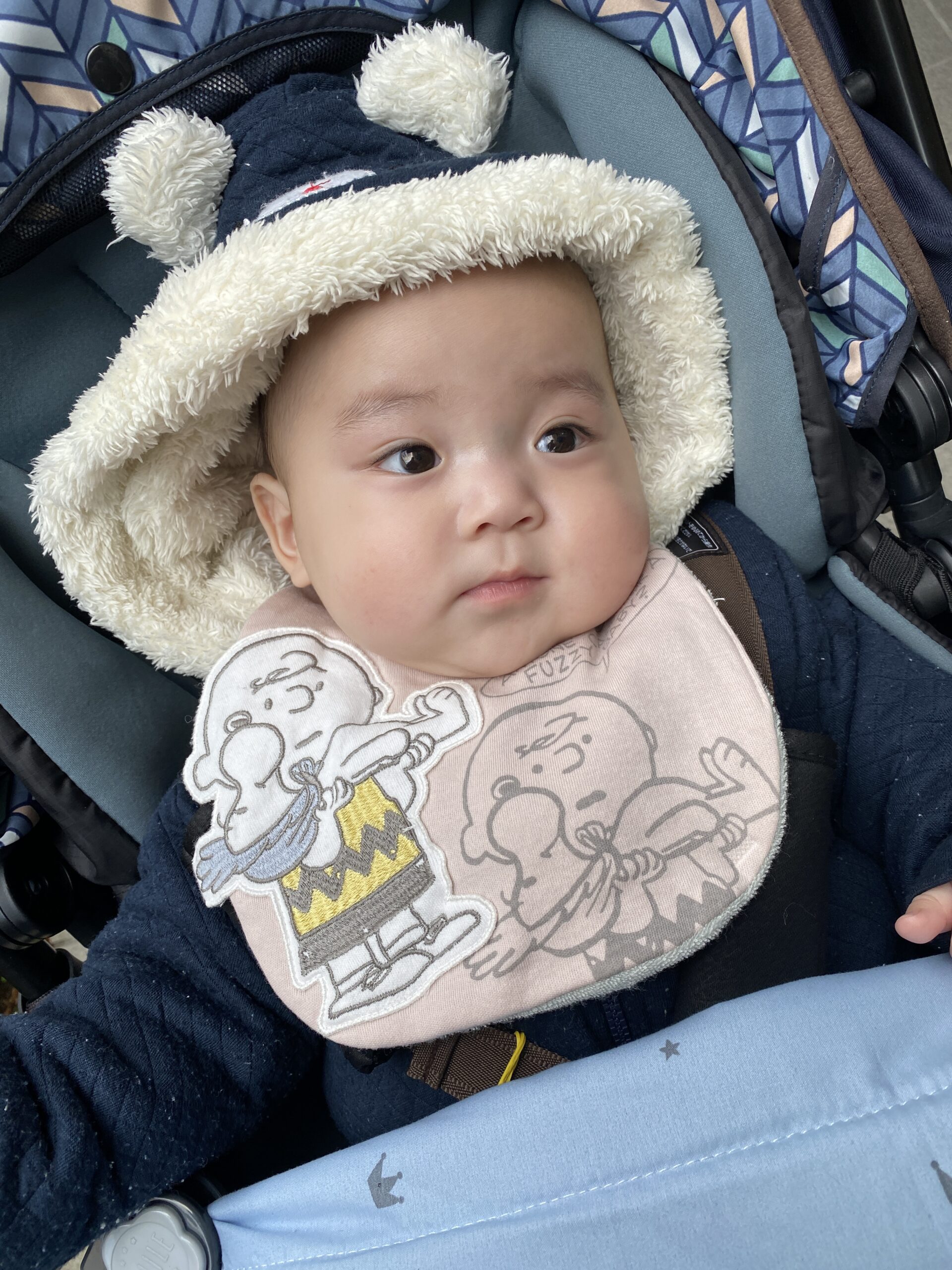 今日のあおちゃん NewBornVideo.jp