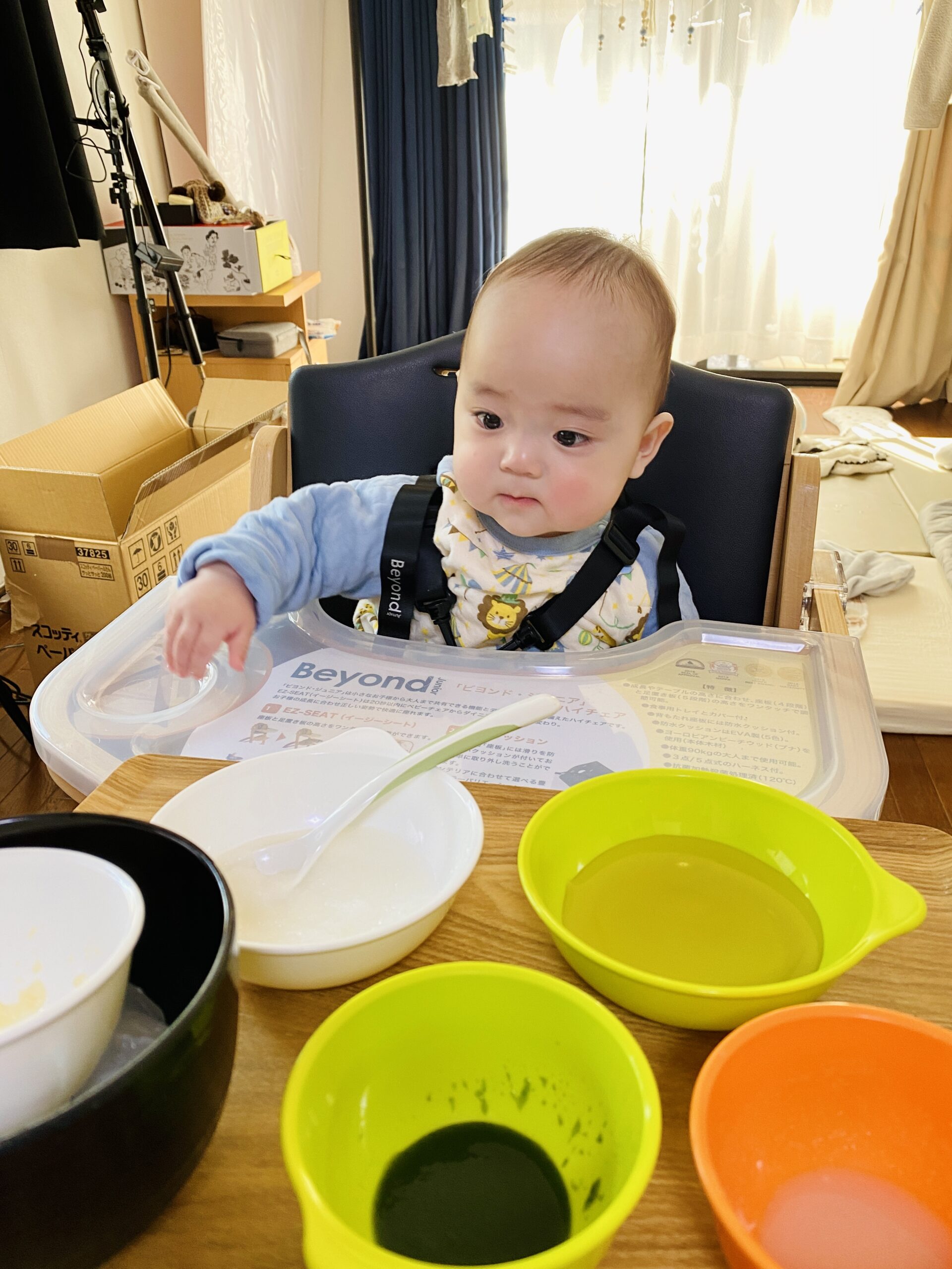 今日のあおちゃん NewBornVideo.jp