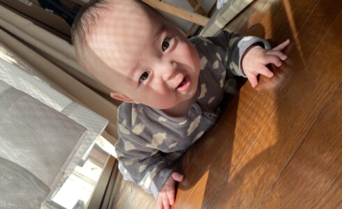 今日のあおちゃん NewBornVideo.jp