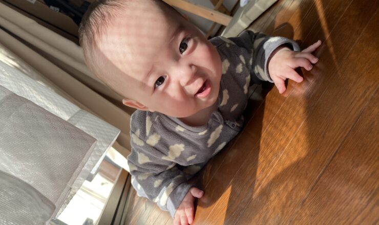 今日のあおちゃん NewBornVideo.jp