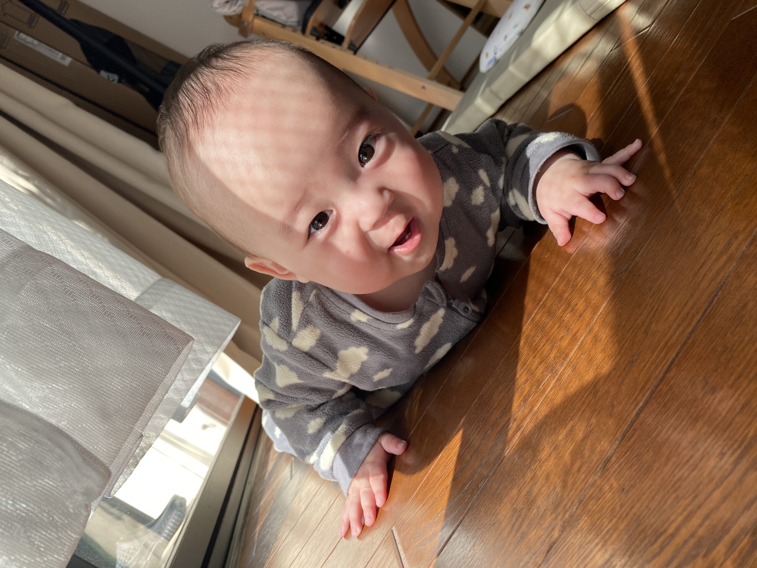 今日のあおちゃん NewBornVideo.jp