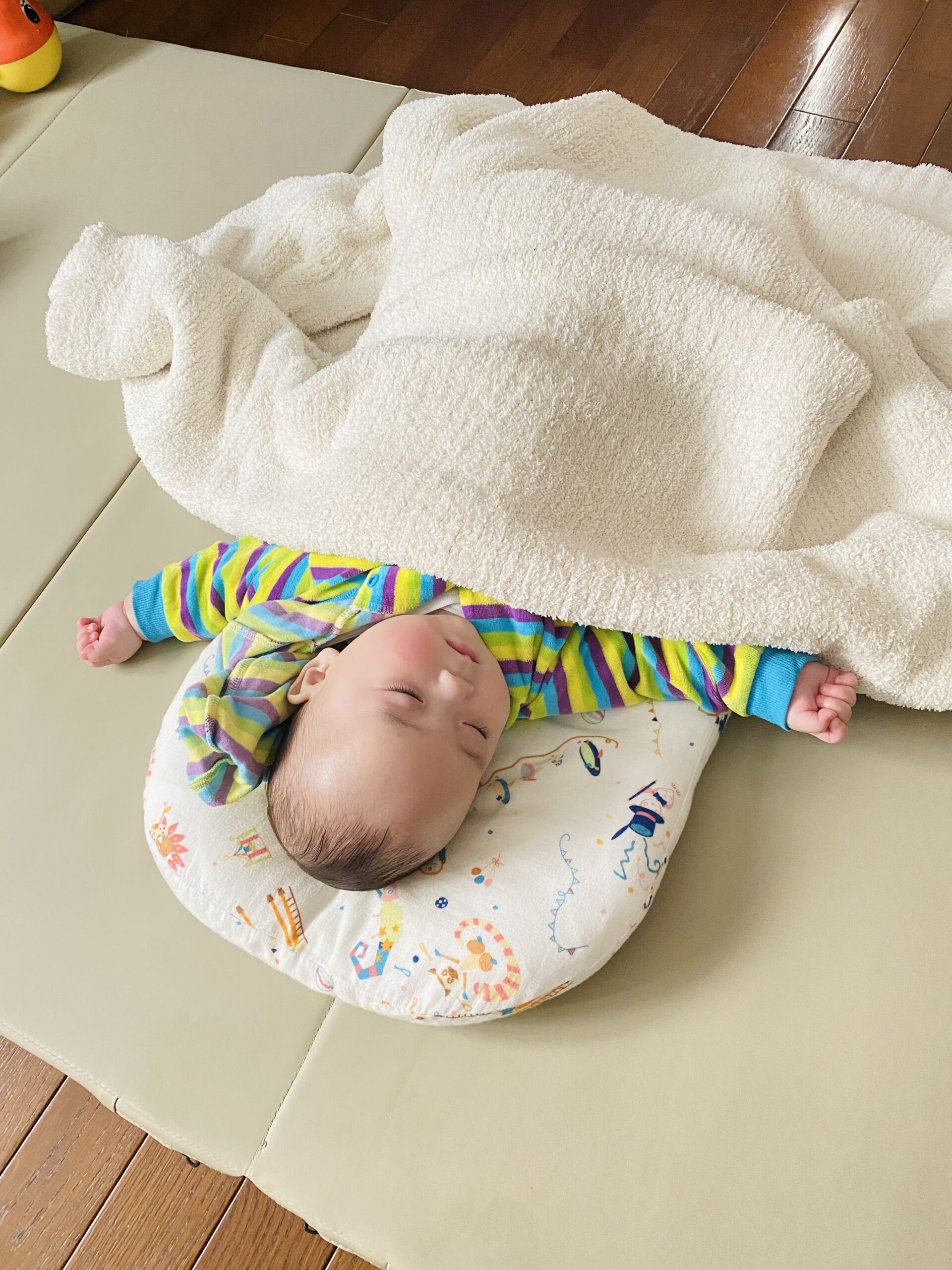 今日のあおちゃん NewBornVideo.jp