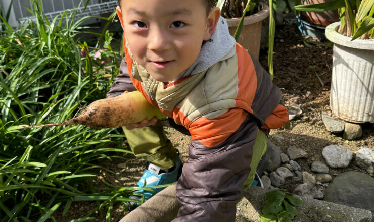 福岡移住、東京から福岡へ。